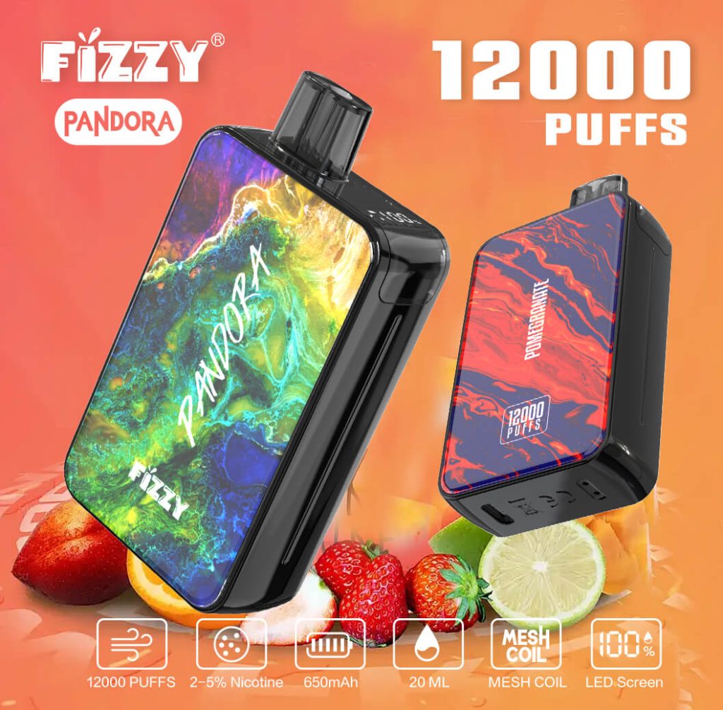 Fizzy Pandora 12000 Puff Fast Rechargeable Battery Vape