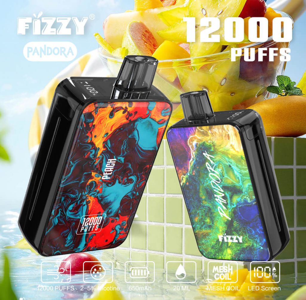 Fizzy Pandora 12000 Puff Fast Rechargeable Battery Vape