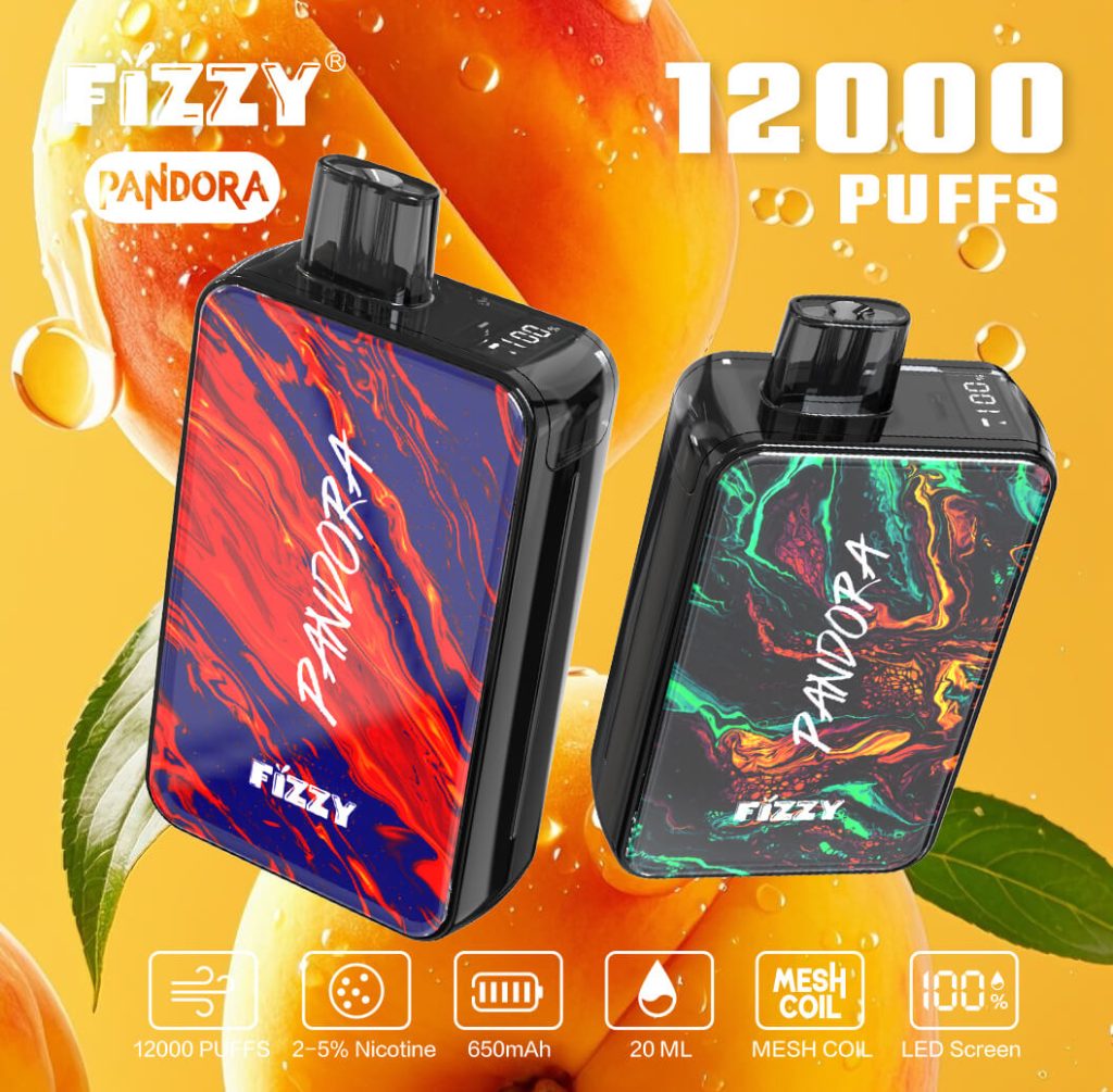 Fizzy Pandora 12000 Puff Fast Rechargeable Battery Vape