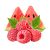 raspberry-watermelon
