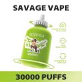 SAVAGE FITNESS 30000 (4)