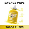 SAVAGE FITNESS 30000 (5)