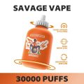 SAVAGE FITNESS 30000 (6)