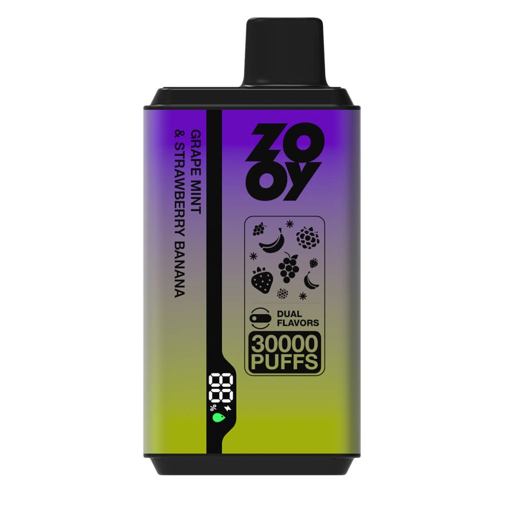 twins 2 flavor disposable vape