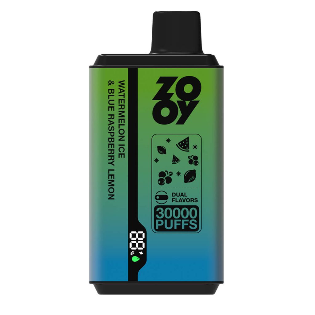 twins 2 flavor disposable vape