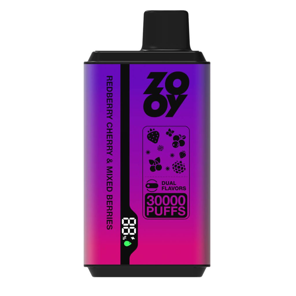 twins 2 flavor disposable vape