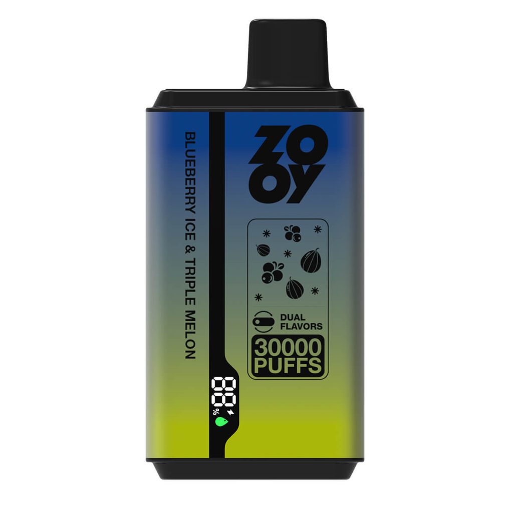 twins 2 flavor disposable vape