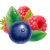 grape-ice-strawberry-kiwi
