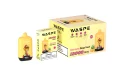 WASPE 12000 PUFFS Digital Box (10)