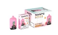 WASPE 12000 PUFFS Digital Box (2)