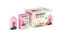 WASPE 12000 PUFFS Digital Box (3)
