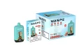 WASPE 12000 PUFFS Digital Box (5)