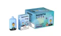 WASPE 12000 PUFFS Digital Box (7)