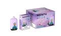 WASPE 12000 PUFFS Digital Box (8)