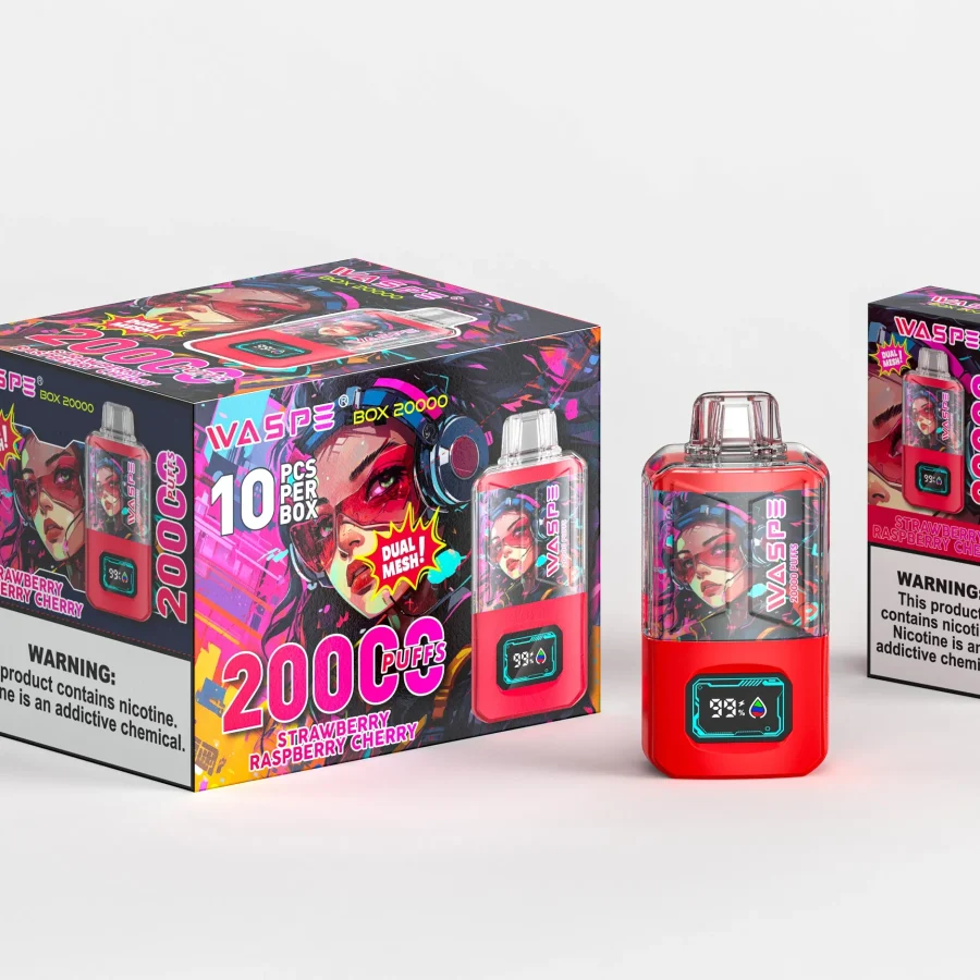 WASPE 20000 PUFFS Dual Mesh Box (1)