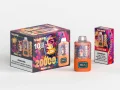 WASPE 20000 PUFFS Dual Mesh Box (10)