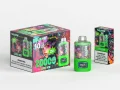 WASPE 20000 PUFFS Dual Mesh Box (11)
