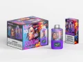 WASPE 20000 PUFFS Dual Mesh Box (8)