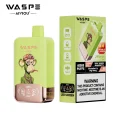 WASPE 40000 PUFFS Double Flavor (3)