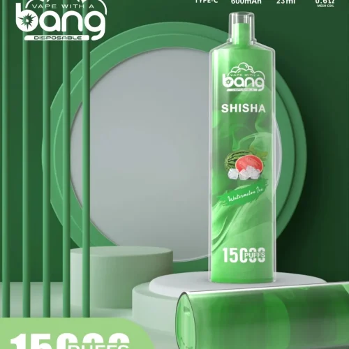 Bang NT15000Puffs