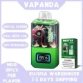 VAPANDA DIGITAL 28000 (10)
