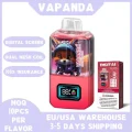VAPANDA DIGITAL 28000 (15)