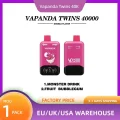 Vapanda Twins 40000 (4)