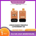 Vapanda Twins 40000 (7)