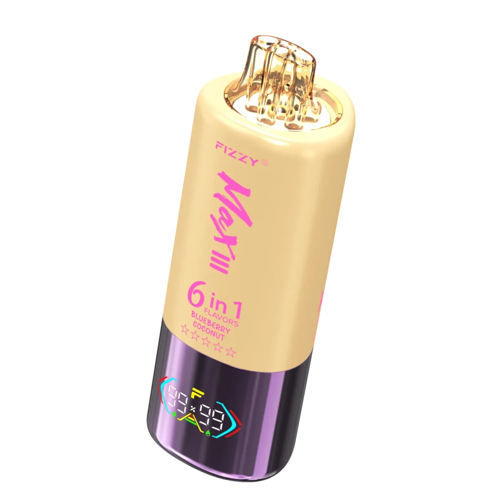 Fizzy Max 6 In 1 Rechargeable Disposable Vapes