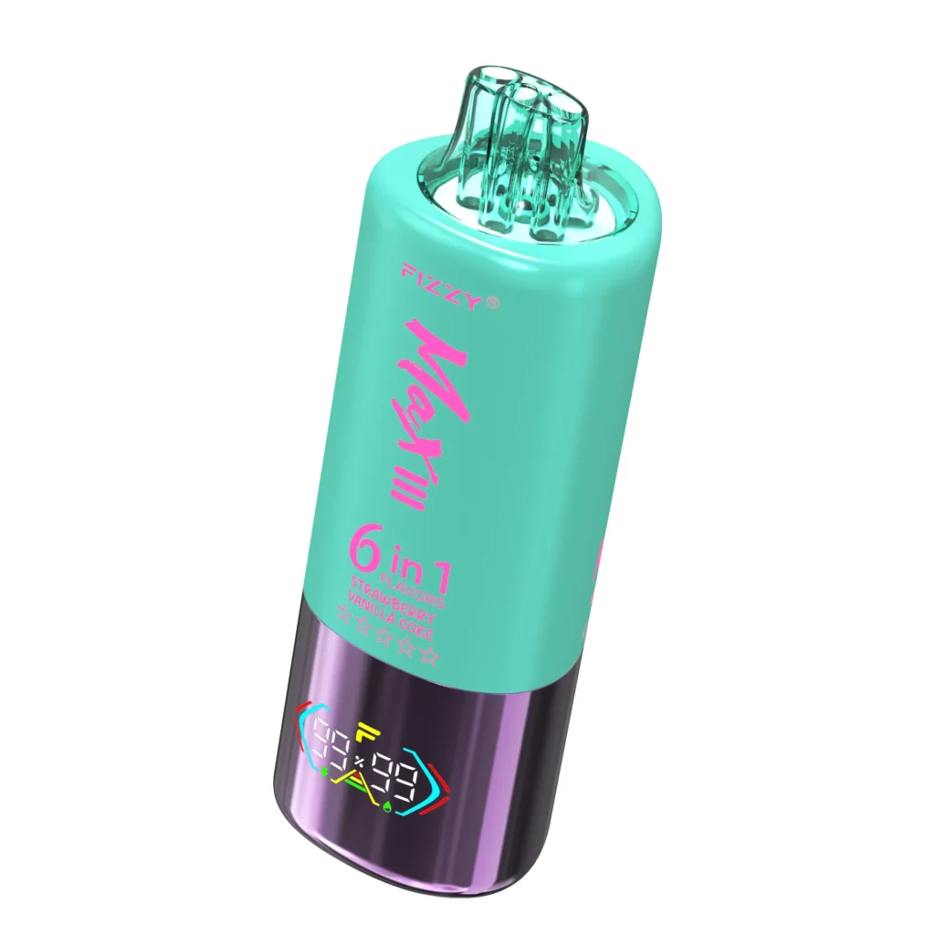 Fizzy Max 6 In 1 Rechargeable Disposable Vapes
