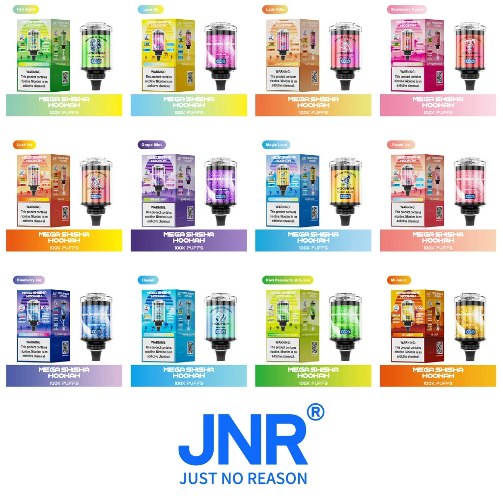JNR Mega Shisha Hookah 100k Vape 12 Flavors