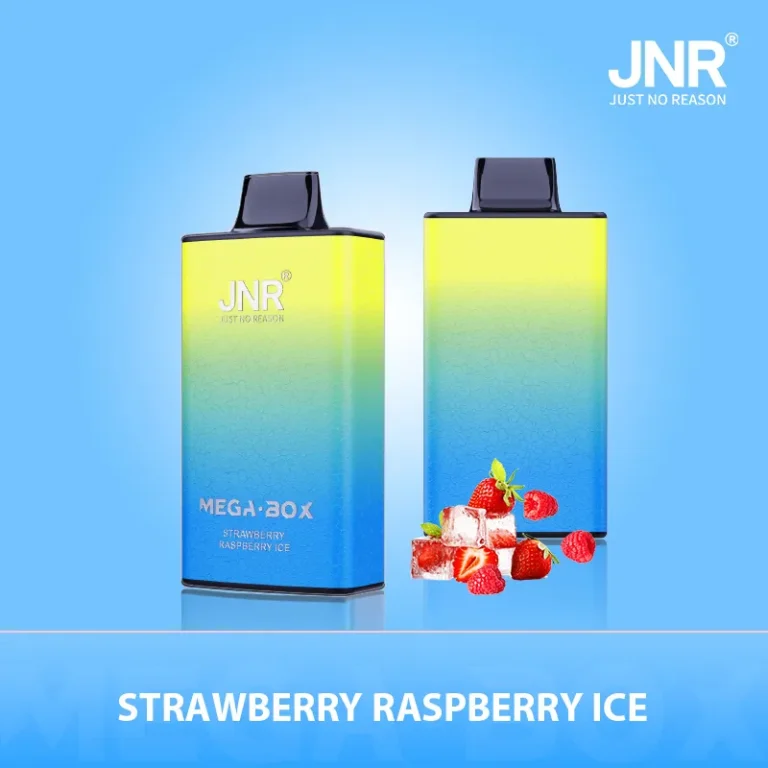 JNR Mega Box 25000 Best Rechargeable Disposable Vape