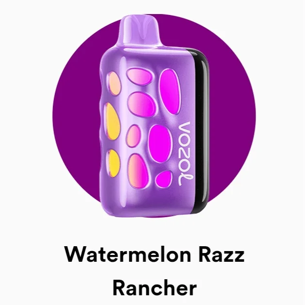 Vozol Rave 40000 Puffs Fast Rechargeable Light Up Disposable Vape