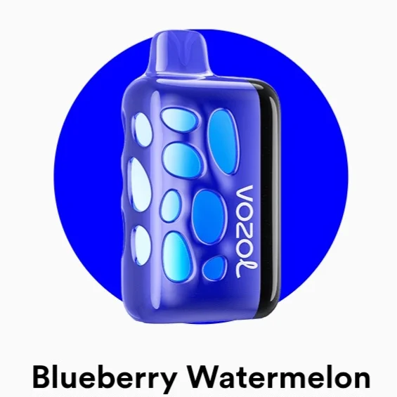 Vozol Rave 40000 Puffs Vape Disposable
