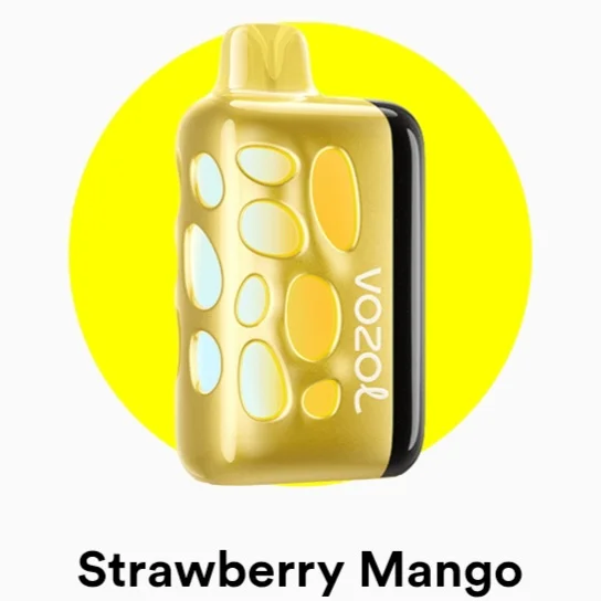 Vozol Rave 40000 Puffs Fast Rechargeable Disposable Vape