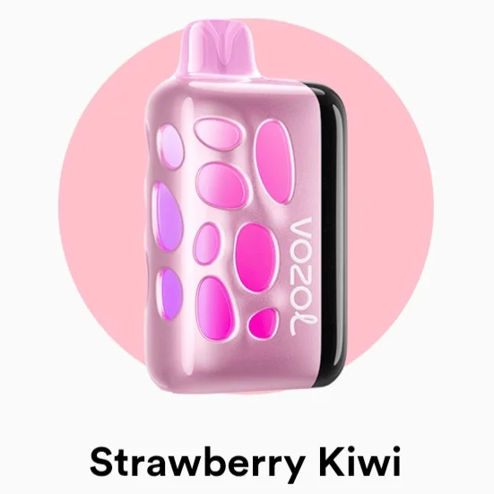 Vozol Rave 40000 Puffs Fast Rechargeable Disposable Vape