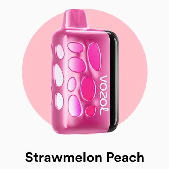 Vozol Rave 40000 Puffs Fast Rechargeable Vape