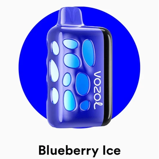 Vozol Rave 40000 Puffs Fast Rechargeable Vape