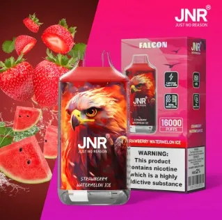 JNR Falcon 16000 Dual Mesh Disposable Vape