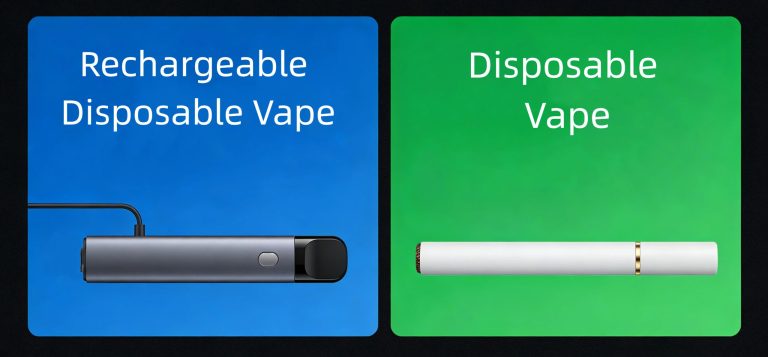 Rechargeable disposable vape VS Regular disposable vape