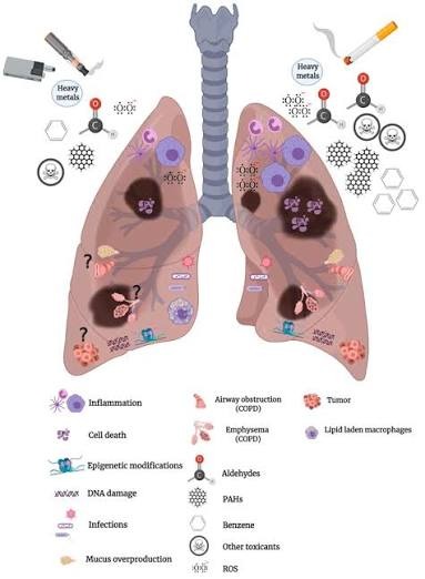 Vaping vs Smoking Lung Comparison
